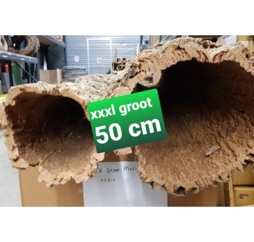 Product: XXXXL Boomstam