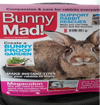 Product: Bunny Mad 27 Megacolon