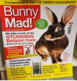 Product: Bunny Mad 23 - ChantyPlace.com