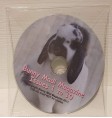 Product: Bunny mad 33 sore hocks - ChantyPlace.com