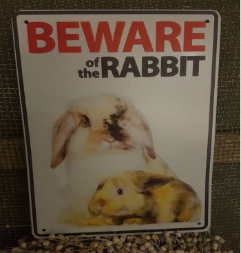 Product: Beware of  the Rabbit 1