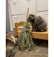 Product: Kerst Bunny Broom XXL - ChantyPlace.com