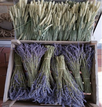 Product: Lavendel gedroogd xxl