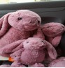 Product: Jellycat rose 40 cm